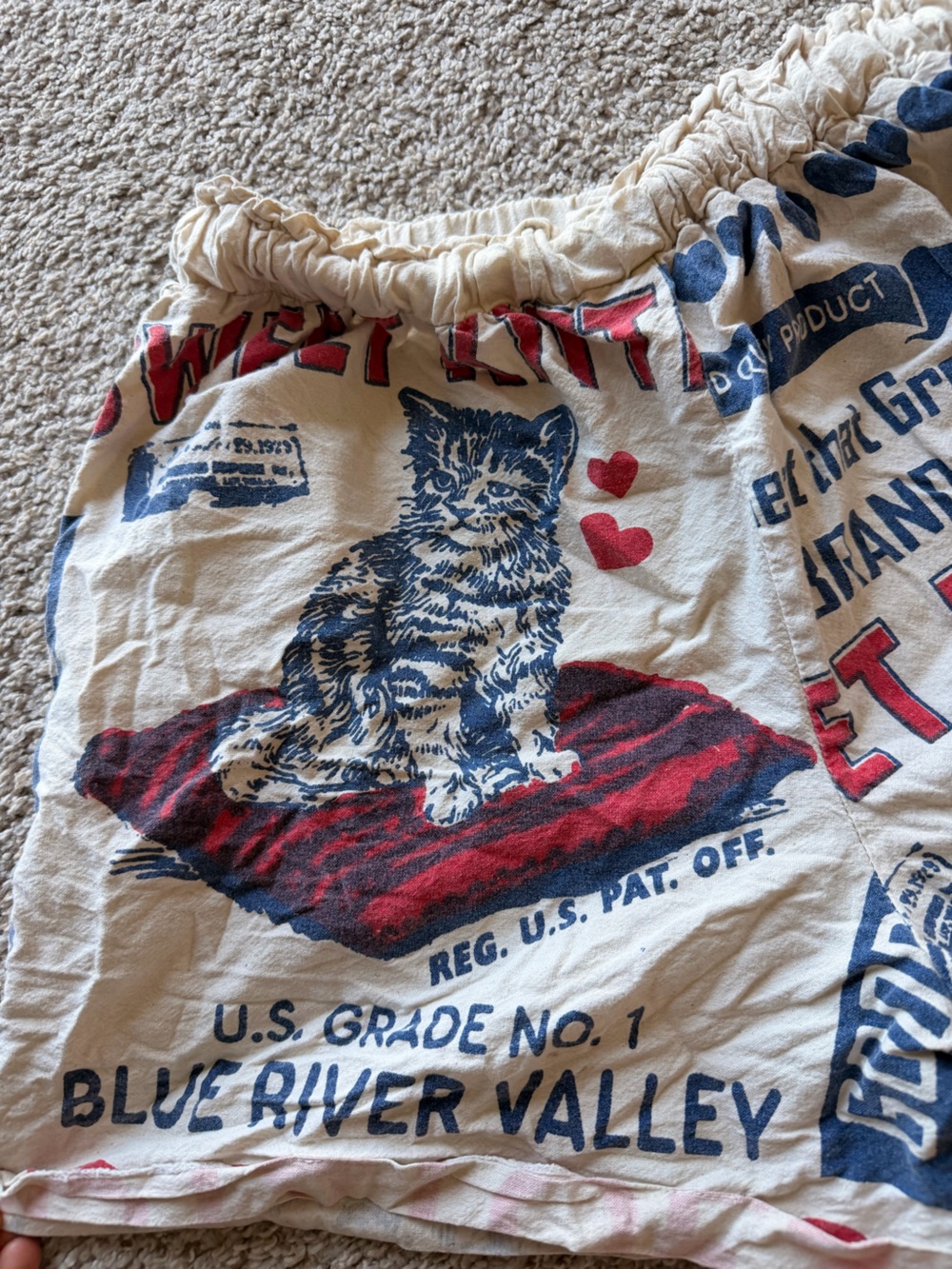Sweet Kitten Graphic womens Shorts - Cream with Red & Blue Print - Picture 7 of 10
